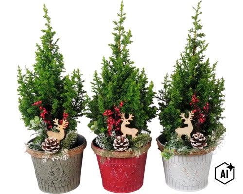 Drei kleine Koniferen in verzierten Töpfen mit Weihnachtsdekoration wie Holzrentieren und Tannenzapfen. (Image AI modified or generated)