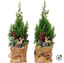Zwei kleine Weihnachtsbaeume in Jutestoffsaecken dekoriert mit Rentierfigur, Tannenzapfen und roten Beeren. (Image AI modified or generated)
