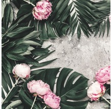 Arrangement aus rosa Pfingstrosen und grünen Blättern auf grauem Hintergrund