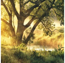 Landschaft mit Baum, Wiese und Fluss im Morgenlicht