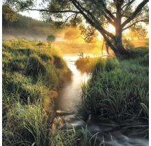 Bachlauf durch grüne Wiese unter Baum im Morgenlicht