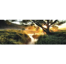 Flusslandschaft mit Bäumen und Morgennebel