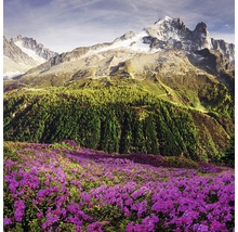 Berglandschaft mit blühenden Alpenrosen im Vordergrund