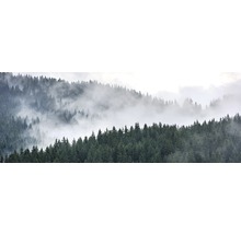 Waldlandschaft mit Nebel