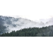 Nebelverhangener Nadelwald in den Bergen
