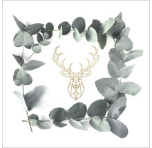 Glasbild Eucalyptus Wreath I 50x50 cm