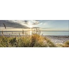 Glasbild Wilder Strand 50x125 cm