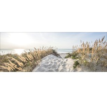 Strandlandschaft mit Düne und Meer