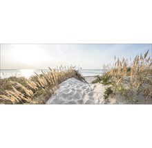 Dünenlandschaft mit Strandhafer und Blick auf das Meer
