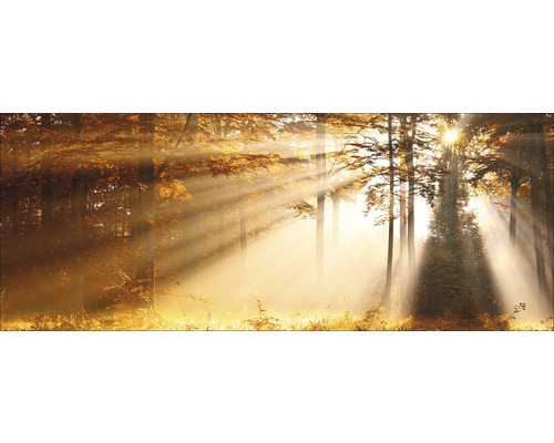 Glasbild Mystic Light III 50x125 cm