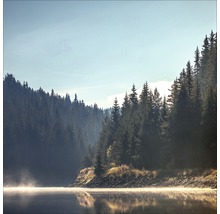 Landschaft mit See, Wald und Morgennebel