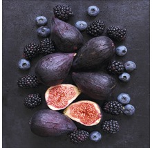 Frische Feigen, Brombeeren und Blaubeeren auf dunklem Untergrund