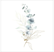 Aquarellzeichnung von Eukalyptuszweigen und Blättern