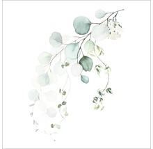 Illustration von Eukalyptuszweigen und kleinen weißen Blüten.
