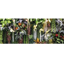 Dekorative Pflanzenwand mit verschiedenen Pflanzenarten