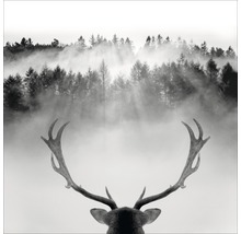 Glasbild King of the Forest 30x30 cm