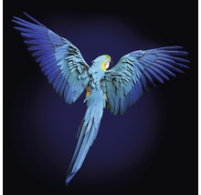 Blaugelber Ara mit ausgebreiteten Flügeln