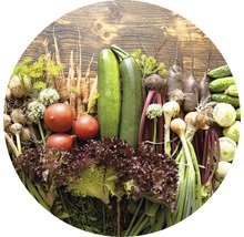 Auswahl an frischem Gemüse wie Zucchini, Salat und Tomaten