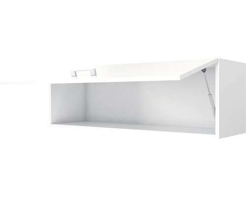 Wandschrank mit geöffneter Klappe und Griff