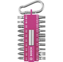 Bosch Bitset mit Karabinerhaken