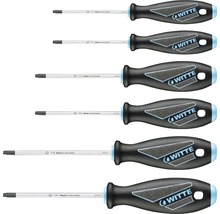 Satz Torx-Schraubendreher mit Griff