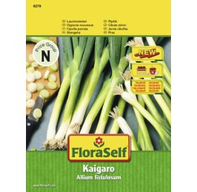 FloraSelf Kaigaro Lauchzwiebel Samenpackung