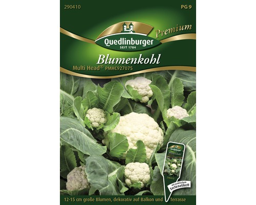 Blumenkohl 'Multi' Quedlinburger Gemüsesamen