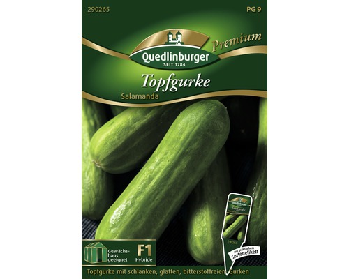 Gurken 'Topf-Salamanda' Quedlinburger Gemüsesamen