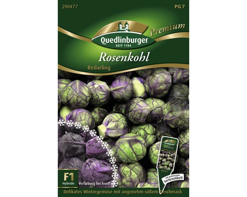 Rosenkohl 'Redarling' Quedlinburger Gemüsesamen