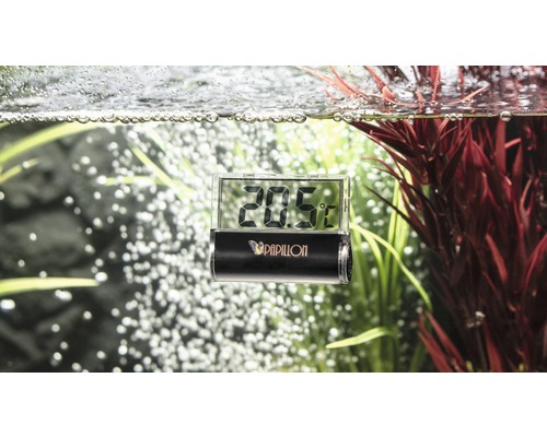 Aquariumthermometer mit digitaler Temperaturanzeige im Wasser
