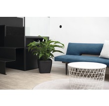 Wohnzimmerszene mit Treppe, Pflanze, Sofa und Tisch