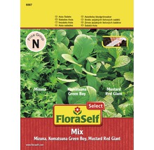Asia Salate FloraSelf samenfestes Saatgut Saatband 5m-thumb-0