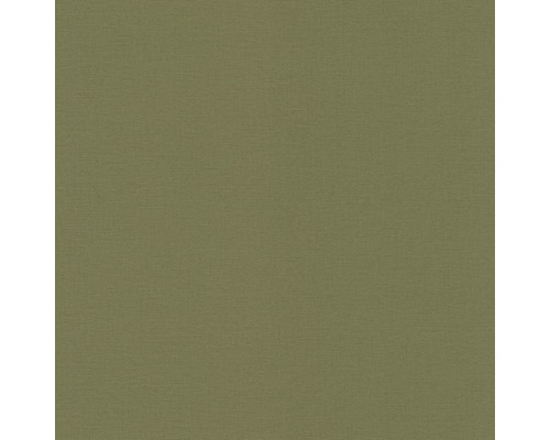 Vliestapete 452068 Kalahari & Salsa Uni grün Textilmaterial für Heimwerkerprojekte