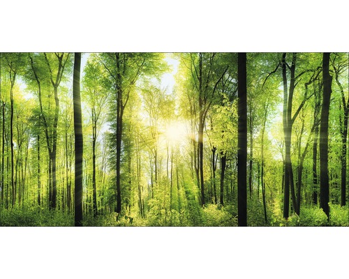 Giclée Leinwandbild Forest Feeling II 50x100 cm