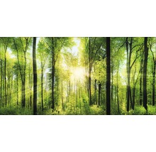 Giclée Leinwandbild Forest Feeling II 80x160 cm