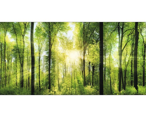 Giclée Leinwandbild Forest Feeling II 90x180 cm