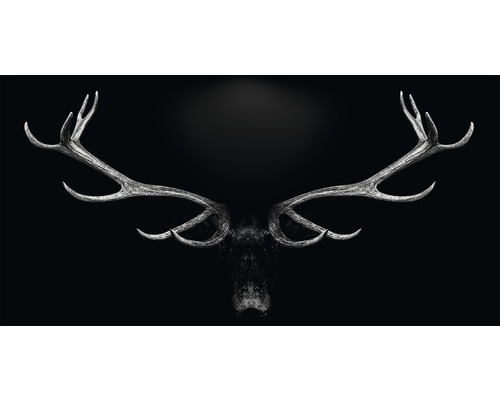 Giclée Leinwandbild Grey Deer Head 60x120 cm