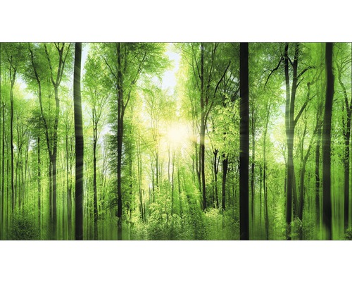 Giclée Leinwandbild Forrest Feeling 80x160 cm