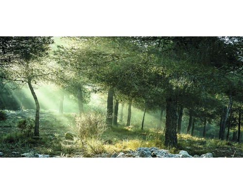 Giclée Leinwandbild Forest Harmony Vl 100x200 cm