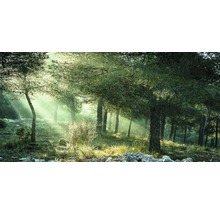 Giclée Leinwandbild Forest Harmony Vl 80x160 cm