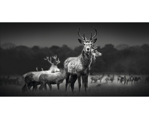 Giclée Leinwandbild Herd Of Deer 60x120 cm