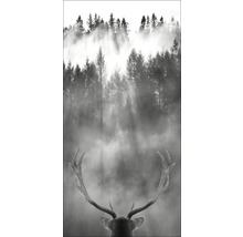 Giclée Leinwandbild Looking Deer 100x50 cm