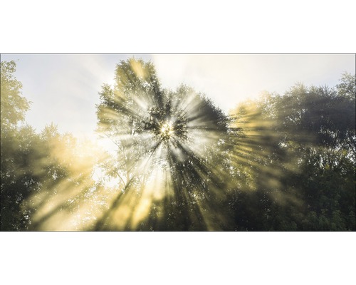 Giclée Leinwandbild Mystic Light I 80x160 cm
