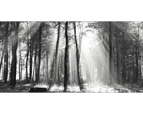 Giclée Leinwandbild Sun drenched forest I 80x160 cm