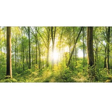 Giclée Leinwandbild Wonderfull forest II 80x160 cm