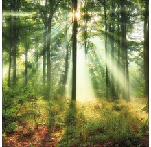 Giclée Leinwandbild Mystic Light II 100x100 cm