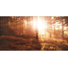 Giclée Leinwandbild Autumn forest III 80x160 cm