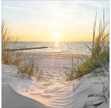 Strand mit Dünen und Meer bei Sonnenuntergang