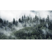 Giclée Leinwandbild Mystic Forest VI 80x160 cm