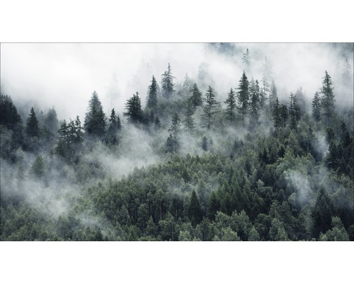Giclée Leinwandbild Mystic Forest VI 80x160 cm